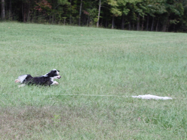 2011_10_01_FunDay_274.JPG