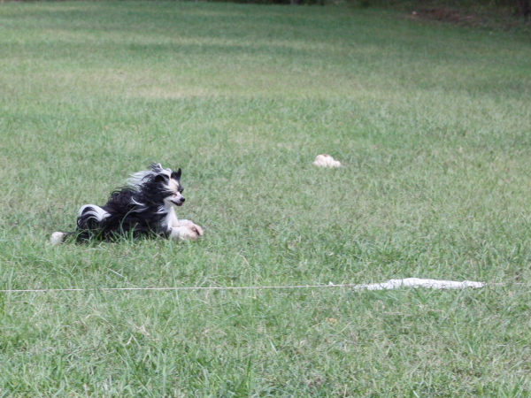 2011_10_01_FunDay_277.JPG