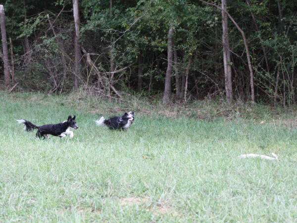 2011_10_01_FunDay_280.JPG