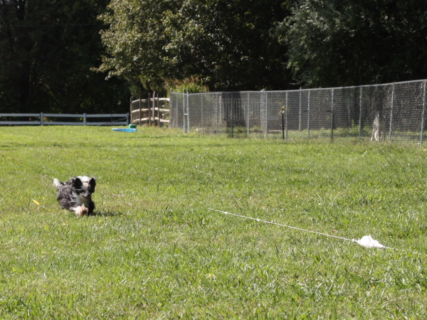 2011_10_01_FunDay_301.JPG