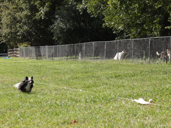 2011_10_01_FunDay_303.JPG