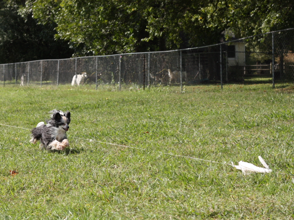 2011_10_01_FunDay_305.JPG