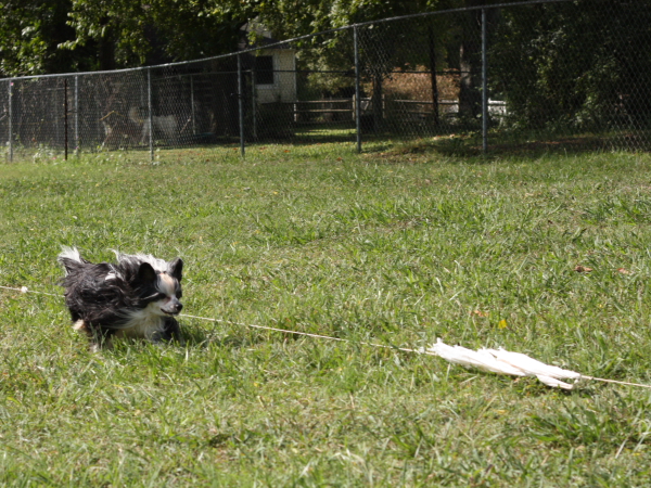 2011_10_01_FunDay_306.JPG