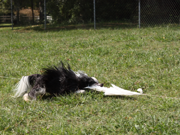 2011_10_01_FunDay_307.JPG