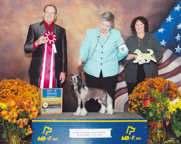 2013_11_16_ConcordBOS.jpg