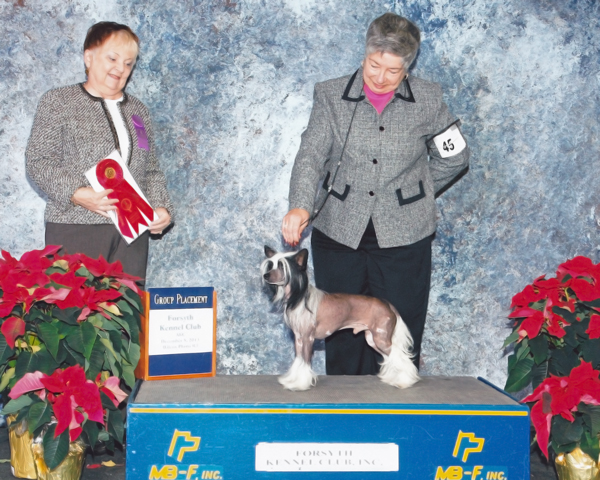 2013_12_08_WinstonG2.jpg